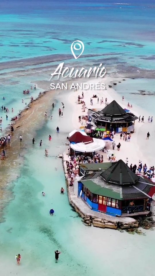 Qué es el acuario de San Andrés:
1. Es un islote de arena coralina, con aguas poco profundas, arrecifes coralinos y muchos peces.
2. Es un acuario natural, no hay animales en cautiverio.
3. El tour de todo el día en el acuario vale $35.000.
4. También puedes tomar el tour de Acuario y Johnny Cay por $70.000, conoces ambos en 1 solo día.
5. Es indispensable llevar zapatos de agua, se pueden cortar con las rocas o pisar un erizo de mar.
6. Puedes alquilar un locker para guardar tus cosas, vale $10.000, te entregan candado y llave.
.
. 
#positostravelers #acuariosanandres #sanandres #sanandresislas #colombia #colombiatravel #caribecolombiano #colombiatrip #viajesenpareja #maryplaya #destinoscolombia #isladesanandres