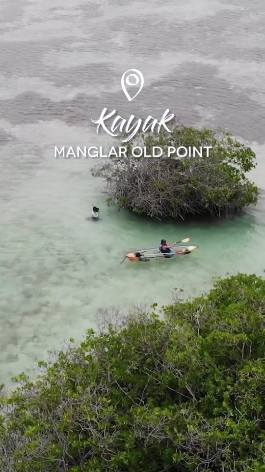 ¿Qué tal recorrer el manglar de San Andrés en Kayaks transparentes? Bueno este tour lo realiza @ecofiwi en en Parque Regional Manglares Old Point
Aprendimos muchísimo con Andrew nuestro guía. Remamos mucho, atravesamos laberintos de manglar, hicimos snorkeling, vimos medusas, estrellas de mar y pecesitos. Al final te consienten con un snack de comida típica de la isla. En el video de youtube les mostramos un poquito de esta experiencia.
.
.
#positostravelers #colombiatravel #colombiamagica #colombia #mardelos7colores #sanandres #isladesanandres #sanandresislas #fontour #colombiatrip #viajesenpareja #maryplaya #destinoscolombia
